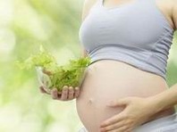 试管婴儿各阶段的费用是多少？北京试管的总体费用贵不贵