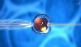 36岁做三代试管婴儿的成功率如何？