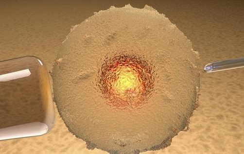 2025在锦州妇婴医院做试管能不能用新农合报销？