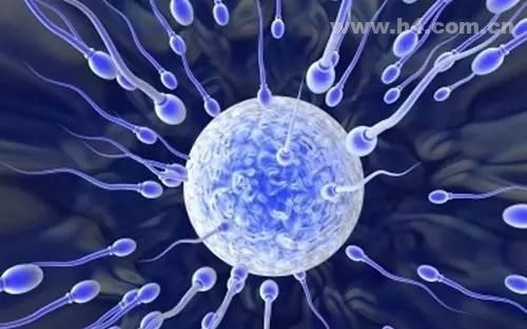 四川三代试管婴儿总共花费多少钱？